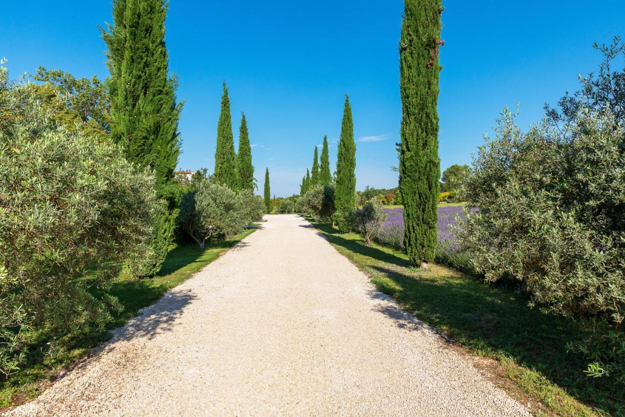 La Bastide De Damien, 5 Clefs Demeure D'Exception Et Table Remarquable Dans Le Guide Teritoria, Jacuzzi Privatif, Cuisine Etoilee Dominique Frerard Hotel Aix-en-Provence Exterior photo