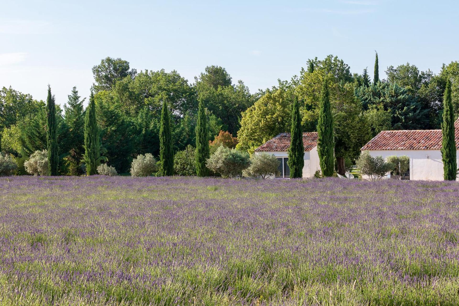 La Bastide De Damien, 5 Clefs Demeure D'Exception Et Table Remarquable Dans Le Guide Teritoria, Jacuzzi Privatif, Cuisine Etoilee Dominique Frerard Hotel Aix-en-Provence Exterior photo