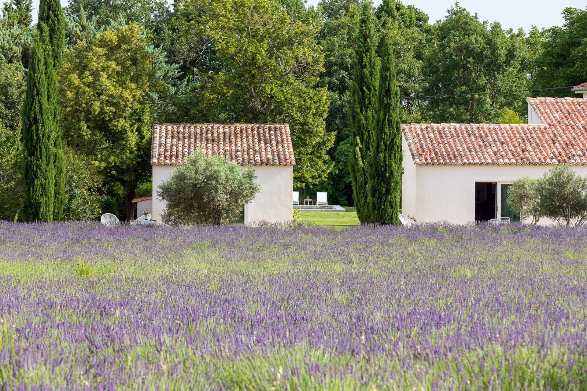 La Bastide De Damien, 5 Clefs Demeure D'Exception Et Table Remarquable Dans Le Guide Teritoria, Jacuzzi Privatif, Cuisine Etoilee Dominique Frerard Hotel Aix-en-Provence Exterior photo
