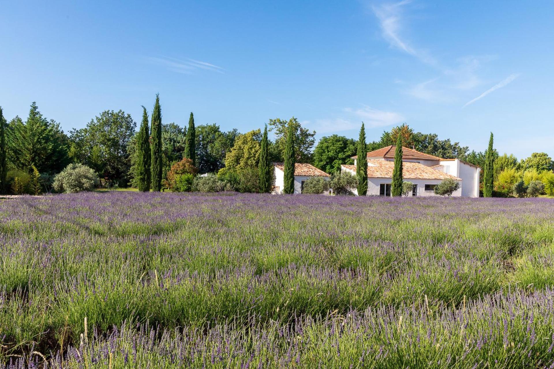 La Bastide De Damien, 5 Clefs Demeure D'Exception Et Table Remarquable Dans Le Guide Teritoria, Jacuzzi Privatif, Cuisine Etoilee Dominique Frerard Hotel Aix-en-Provence Exterior photo