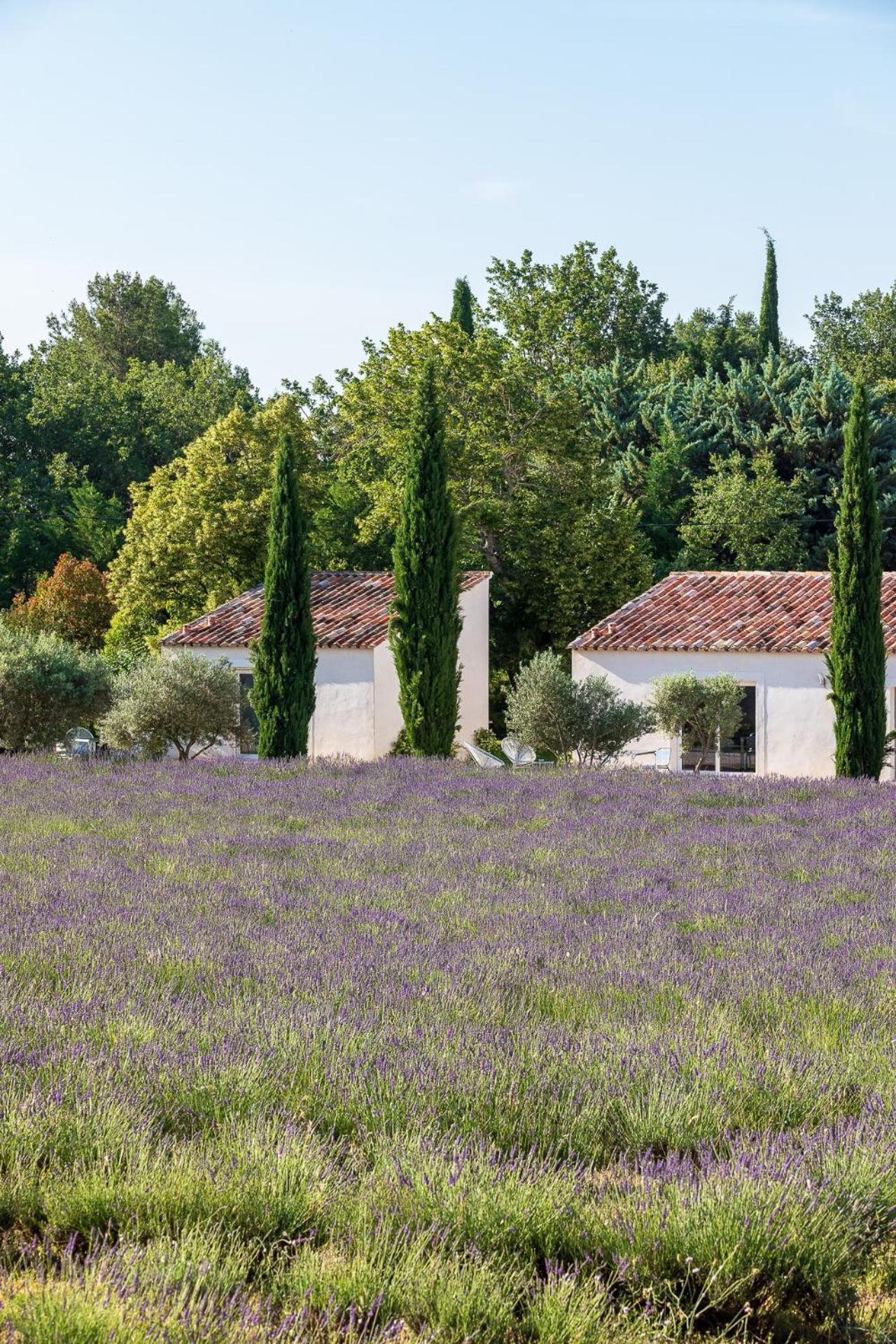 La Bastide De Damien, 5 Clefs Demeure D'Exception Et Table Remarquable Dans Le Guide Teritoria, Jacuzzi Privatif, Cuisine Etoilee Dominique Frerard Hotel Aix-en-Provence Exterior photo