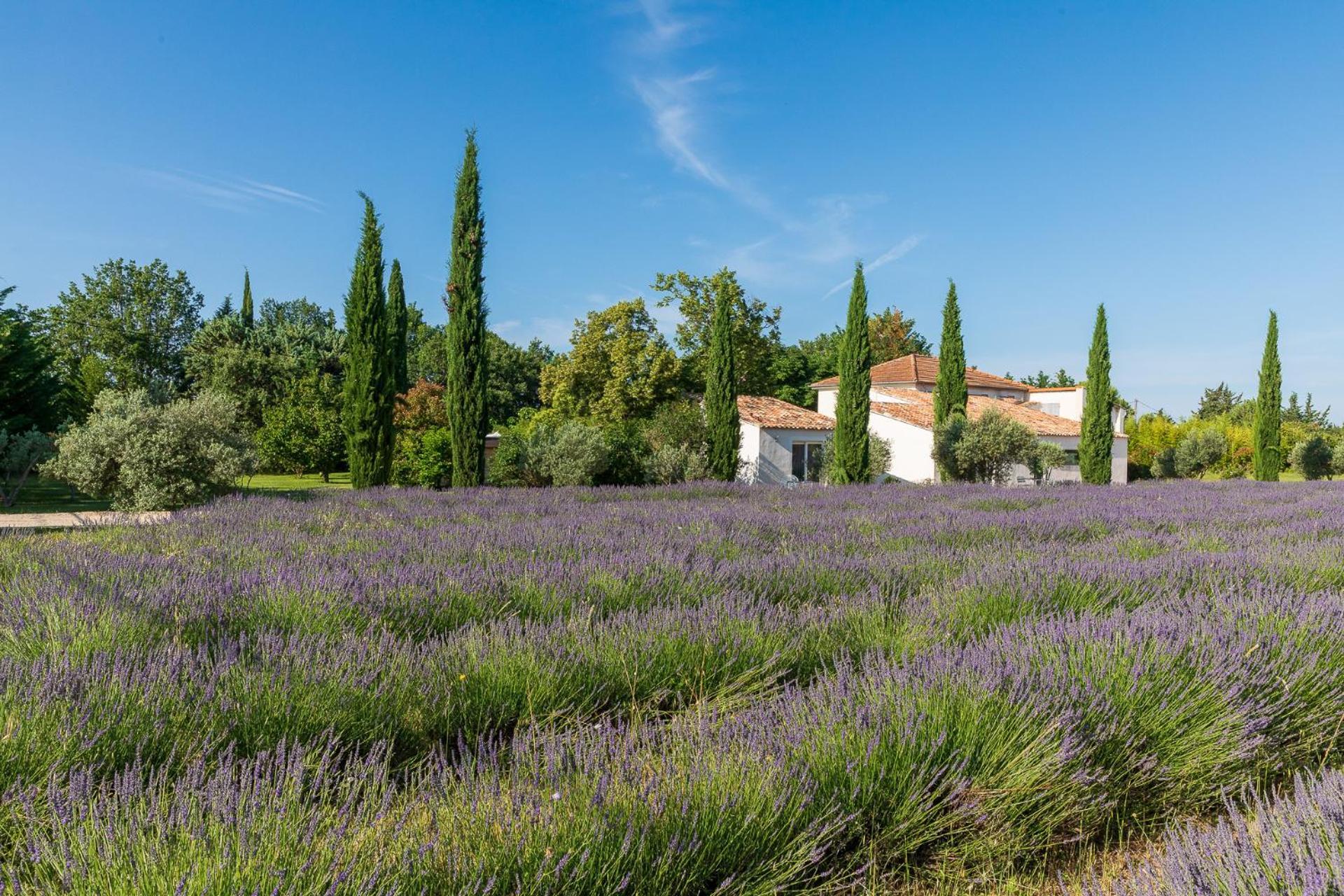 La Bastide De Damien, 5 Clefs Demeure D'Exception Et Table Remarquable Dans Le Guide Teritoria, Jacuzzi Privatif, Cuisine Etoilee Dominique Frerard Hotel Aix-en-Provence Exterior photo