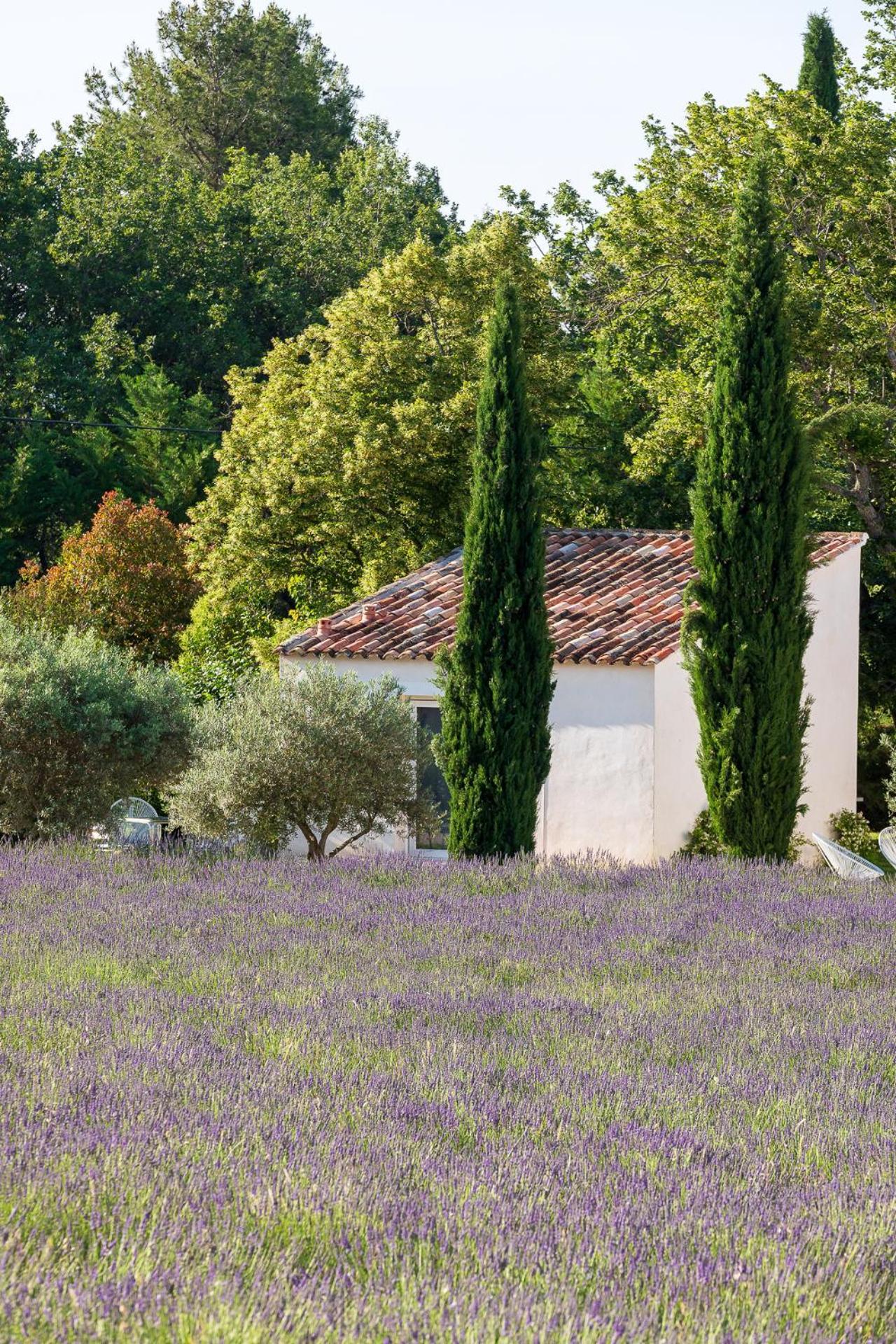 La Bastide De Damien, 5 Clefs Demeure D'Exception Et Table Remarquable Dans Le Guide Teritoria, Jacuzzi Privatif, Cuisine Etoilee Dominique Frerard Hotel Aix-en-Provence Exterior photo