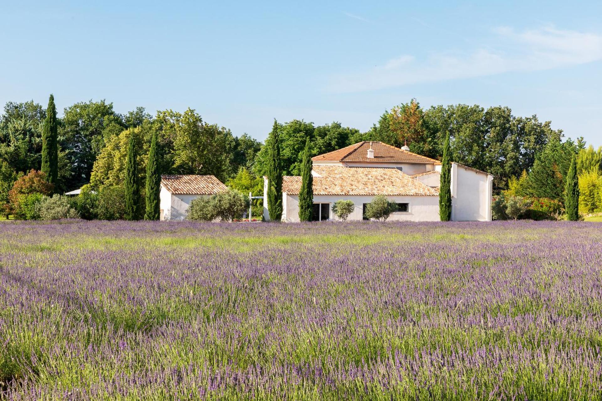La Bastide De Damien, 5 Clefs Demeure D'Exception Et Table Remarquable Dans Le Guide Teritoria, Jacuzzi Privatif, Cuisine Etoilee Dominique Frerard Hotel Aix-en-Provence Exterior photo