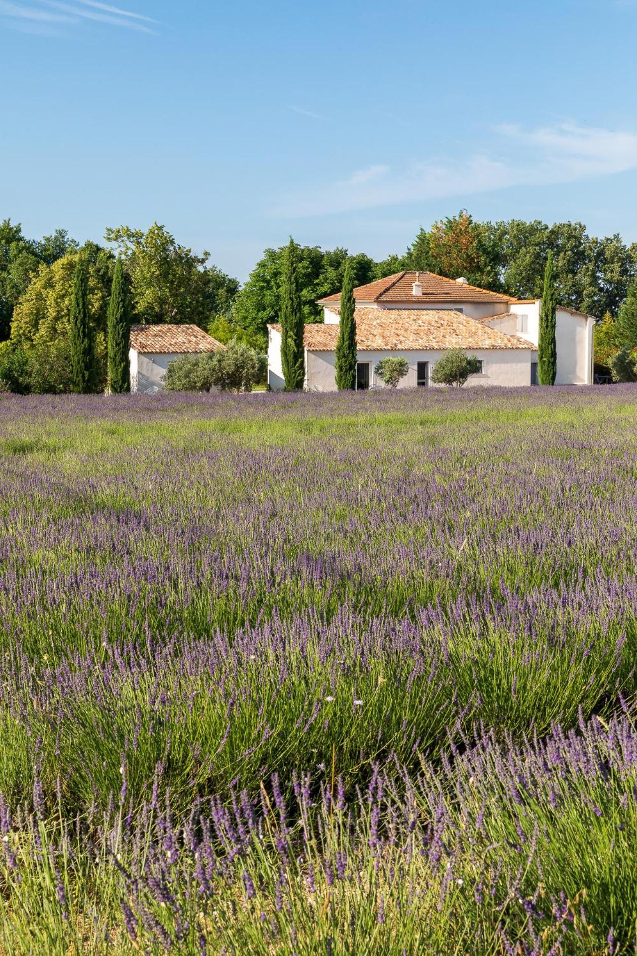 La Bastide De Damien, 5 Clefs Demeure D'Exception Et Table Remarquable Dans Le Guide Teritoria, Jacuzzi Privatif, Cuisine Etoilee Dominique Frerard Hotel Aix-en-Provence Exterior photo